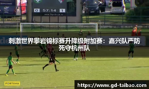 熊猫体育官网