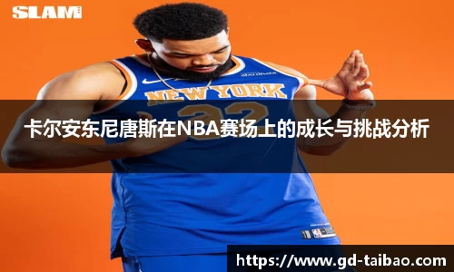 卡尔安东尼唐斯在NBA赛场上的成长与挑战分析